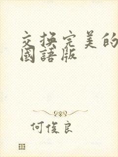 交换完美的邻居国语版