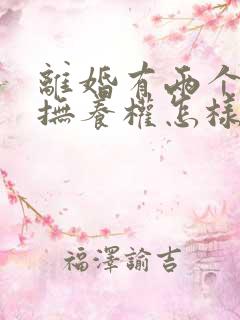 离婚有两个小孩抚养权怎样判定