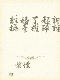 离婚了起诉孩子抚养权归谁