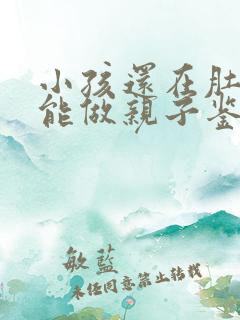 小孩还在肚子里能做亲子鉴定吗