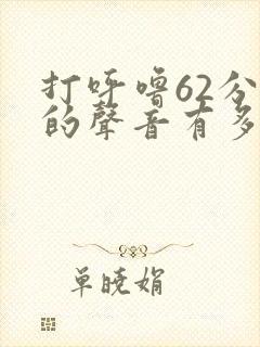 打呼噜62分贝的声音有多大