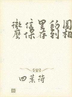 微信里的图片怎么保存到相册