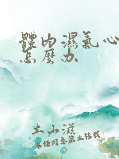 体内湿气心火旺怎么办