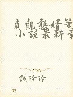 贞观憨婿笔趣阁 小说最新章节