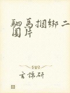 驷马捆绑二次元图片