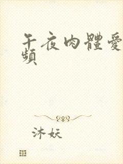 午夜肉体爱爱视频