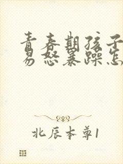 青春期孩子脾气易怒暴躁怎么办