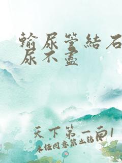 输尿管结石感觉尿不尽