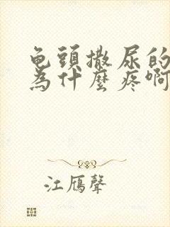 龟头撒尿的时候为什么疼啊