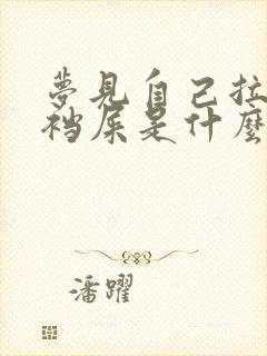 梦见自己拉一裤裆屎是什么预兆