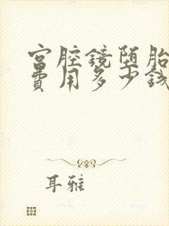 宫腔镜堕胎手术费用多少钱