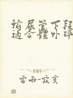 输尿管下段结石适合体外碎石吗