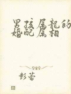 男孩属龙的最佳婚配属相