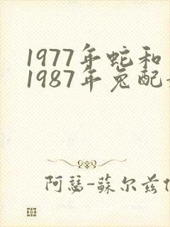 1977年蛇和1987年兔配婚姻好不好