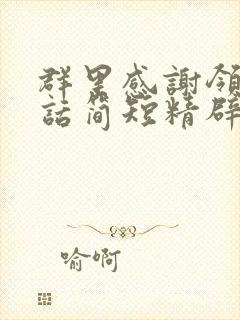 群里感谢领导的话简短精辟