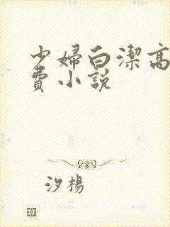 少妇白洁高义免费小说