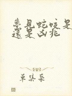 梦见蛇咬是吉兆还是凶兆