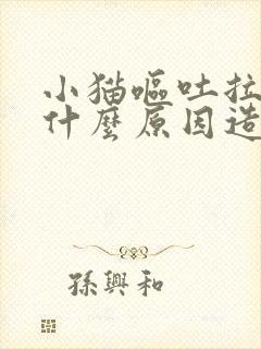 小猫呕吐拉稀是什么原因造成的