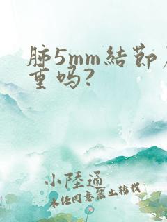 肺5mm结节严重吗?