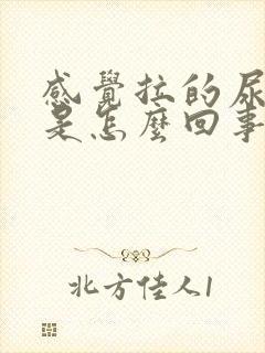 感觉拉的尿很烫是怎么回事