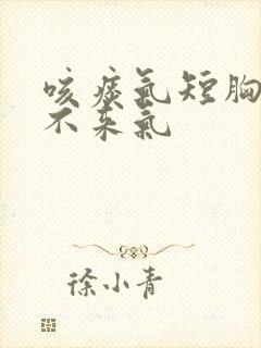 咳痰气短胸闷上不来气