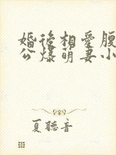 婚后相爱腹黑老公爆萌妻小说