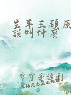 生平三愿原著小说叫什么