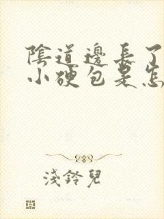 阴道边长了一个小硬包是怎么回事呢