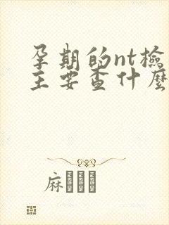 孕期的nt检查主要查什么