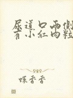 尿道口两侧瘙痒有小红肉粒