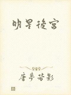 明星后宫