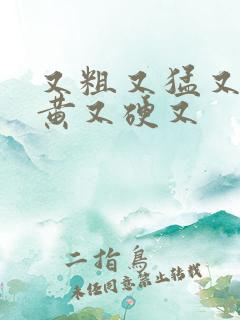 又粗又猛又色又黄又硬又