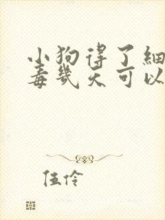 小狗得了细小病毒几天可以吃食