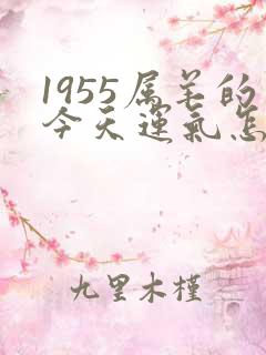 1955属羊的今天运气怎么样