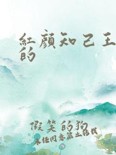 红颜知己王峰唱的