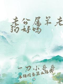 老公属羊老婆属狗好吗