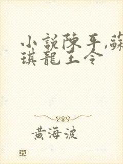 小说陈平,苏雨琪龙王令