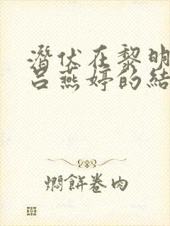 潜伏在黎明之前吕燕婷的结局