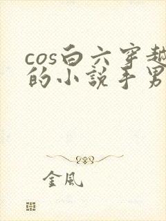 cos白六穿越的小说手男主穿越惊封的小说