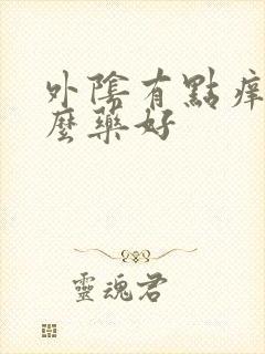 外阴有点痒吃什么药好