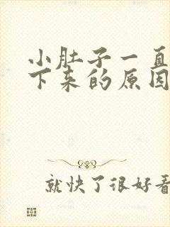 小肚子一直瘦不下来的原因