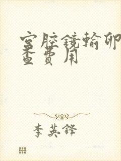 宫腔镜输卵管检查费用