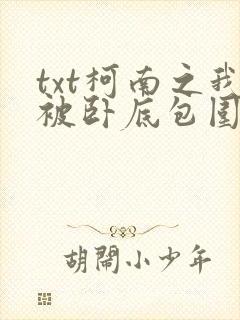 txt柯南之我被卧底包围了