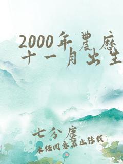 2000年农历十一月出生命运