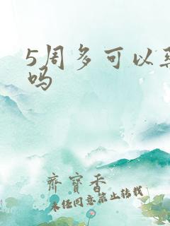 5周多可以药流吗