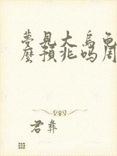 梦见大乌龟是什么预兆吗周公解梦