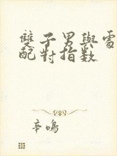 双子男与处女女配对指数