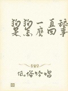 狗狗一直舔舌头是怎么回事