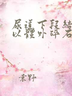 尿道下段结石可以体外碎石吗