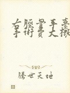 右胫骨平台骨折手术费大概多少钱